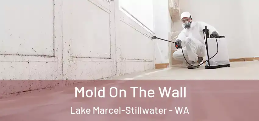 Mold On The Wall Lake Marcel-Stillwater - WA