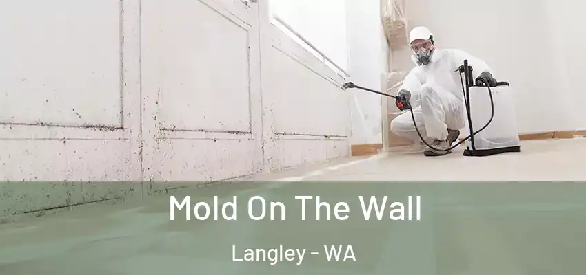 Mold On The Wall Langley - WA