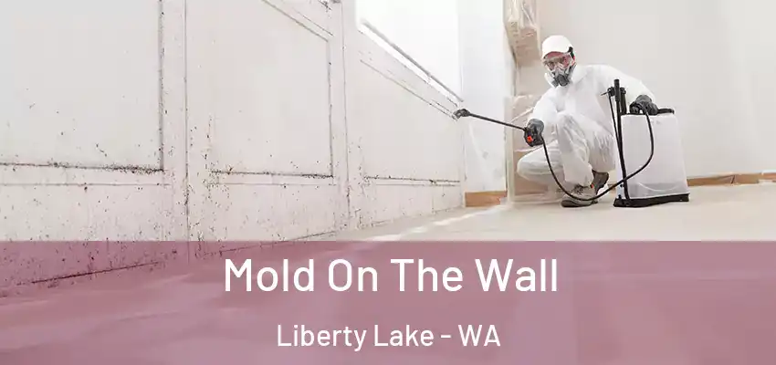  Mold On The Wall Liberty Lake - WA