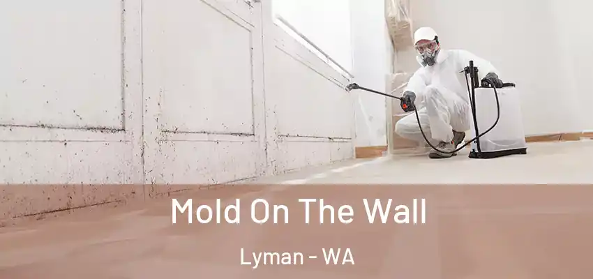 Mold On The Wall Lyman - WA
