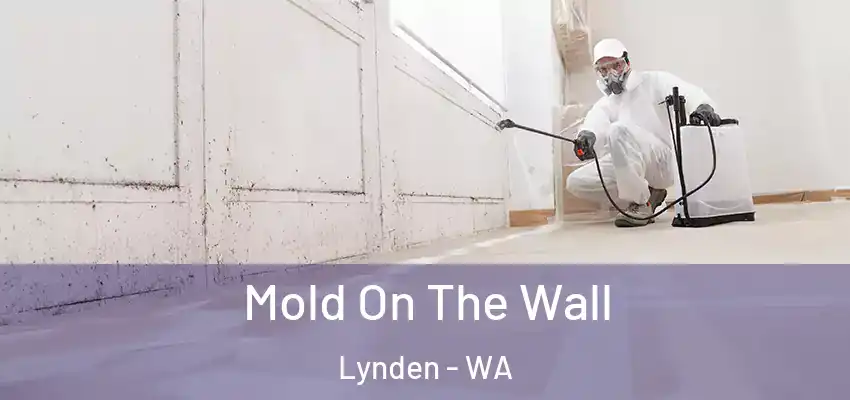  Mold On The Wall Lynden - WA