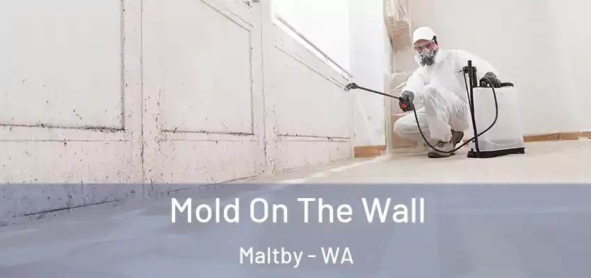  Mold On The Wall Maltby - WA