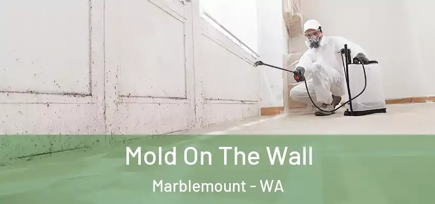  Mold On The Wall Marblemount - WA
