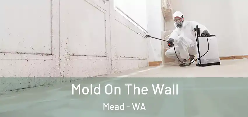  Mold On The Wall Mead - WA