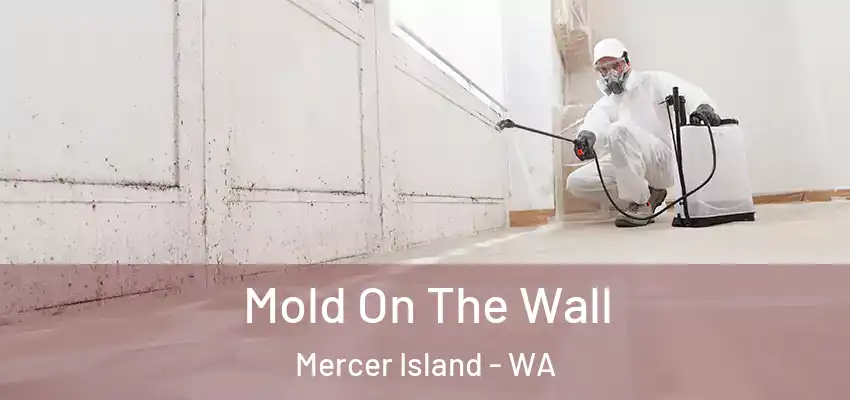 Mold On The Wall Mercer Island - WA