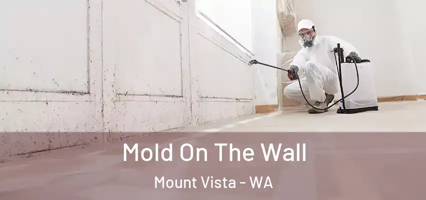  Mold On The Wall Mount Vista - WA