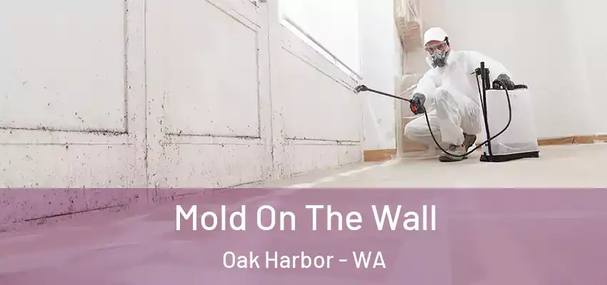  Mold On The Wall Oak Harbor - WA