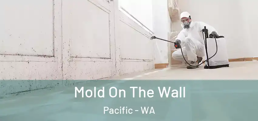 Mold On The Wall Pacific - WA