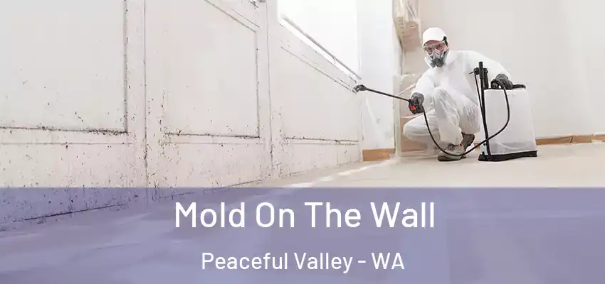 Mold On The Wall Peaceful Valley - WA