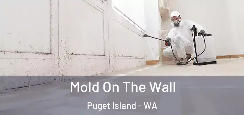 Mold On The Wall Puget Island - WA