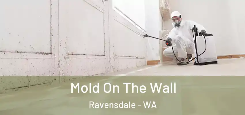  Mold On The Wall Ravensdale - WA