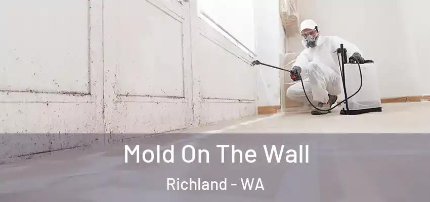  Mold On The Wall Richland - WA
