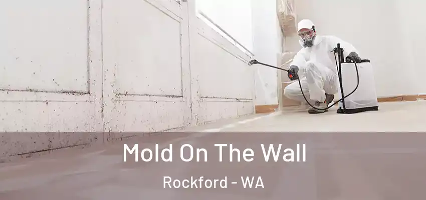  Mold On The Wall Rockford - WA