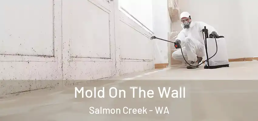 Mold On The Wall Salmon Creek - WA