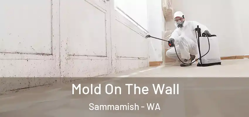  Mold On The Wall Sammamish - WA