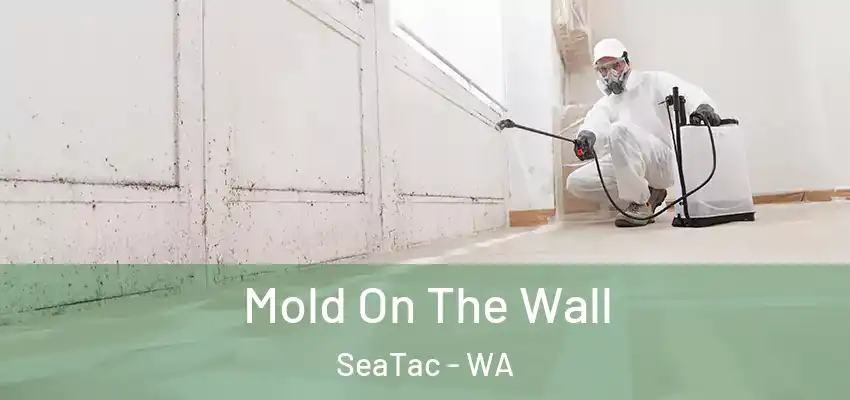  Mold On The Wall SeaTac - WA