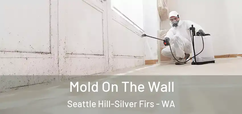 Mold On The Wall Seattle Hill-Silver Firs - WA