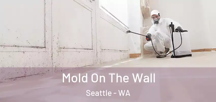  Mold On The Wall Seattle - WA