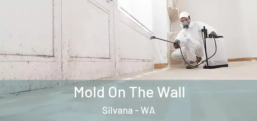 Mold On The Wall Silvana - WA