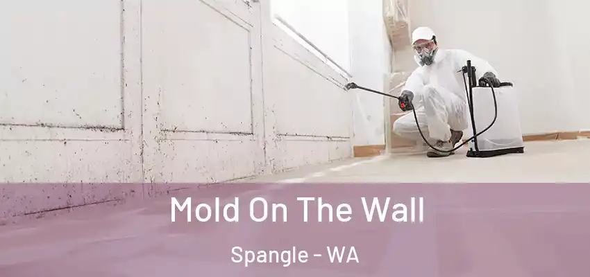  Mold On The Wall Spangle - WA
