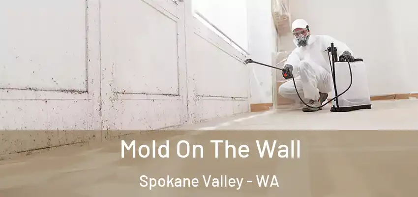  Mold On The Wall Spokane Valley - WA