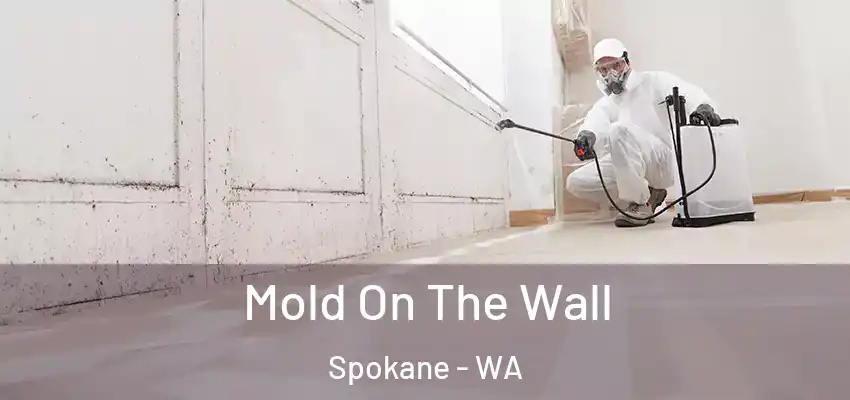  Mold On The Wall Spokane - WA