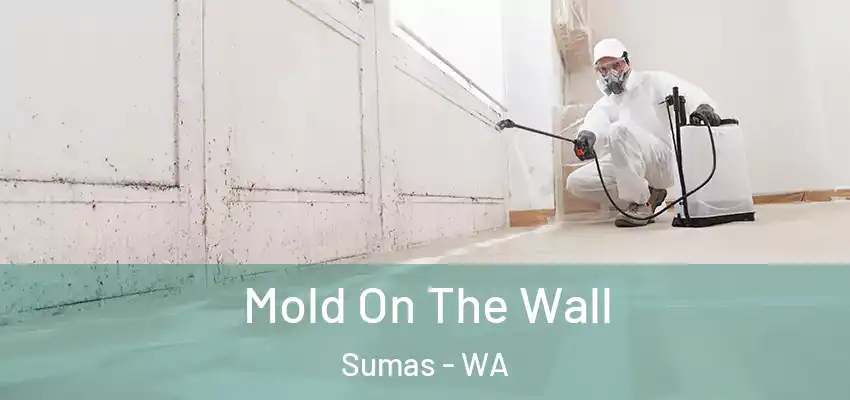  Mold On The Wall Sumas - WA