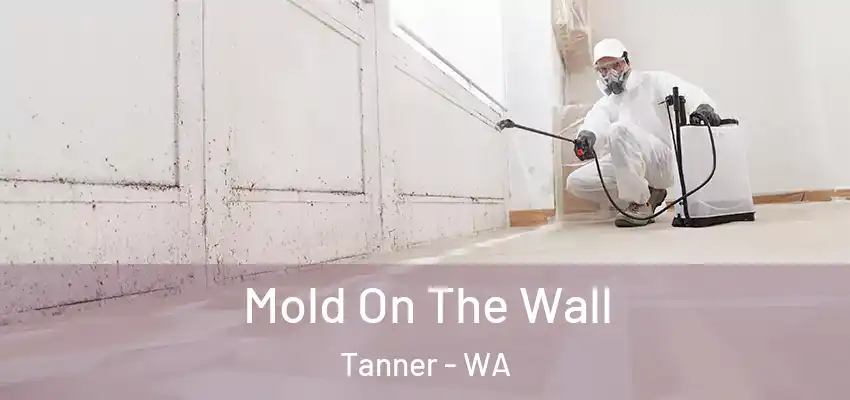  Mold On The Wall Tanner - WA