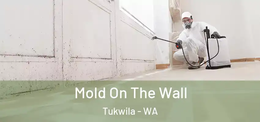  Mold On The Wall Tukwila - WA