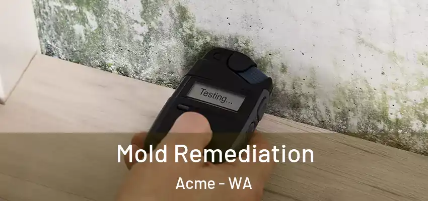Mold Remediation Acme - WA