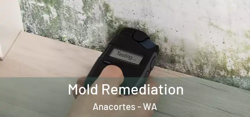  Mold Remediation Anacortes - WA