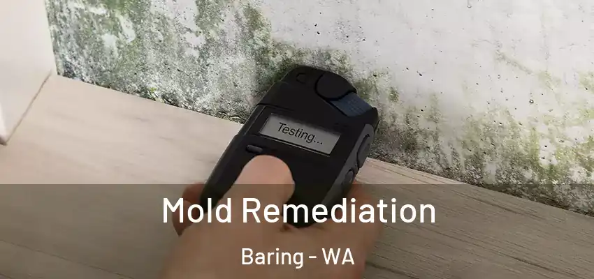  Mold Remediation Baring - WA