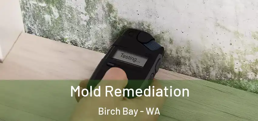  Mold Remediation Birch Bay - WA