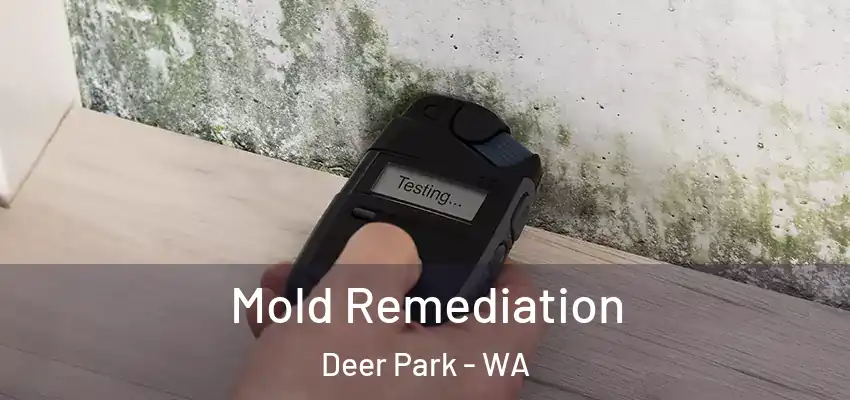  Mold Remediation Deer Park - WA