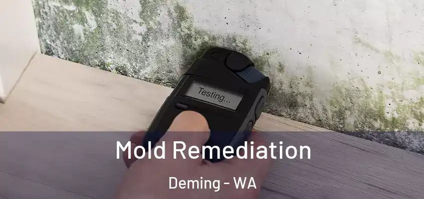 Mold Remediation Deming - WA