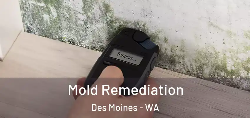  Mold Remediation Des Moines - WA