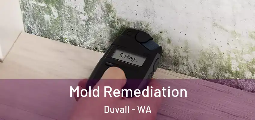  Mold Remediation Duvall - WA