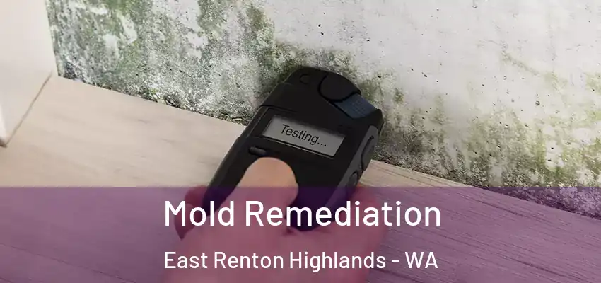 Mold Remediation East Renton Highlands - WA