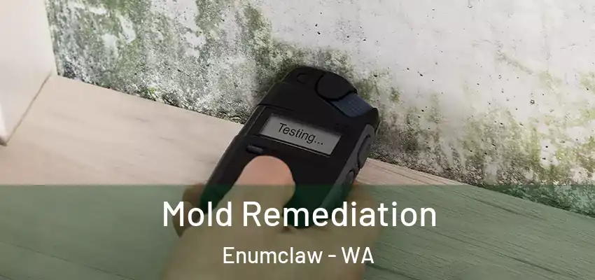  Mold Remediation Enumclaw - WA