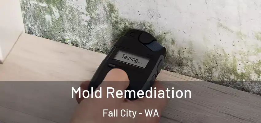  Mold Remediation Fall City - WA