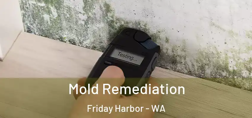  Mold Remediation Friday Harbor - WA