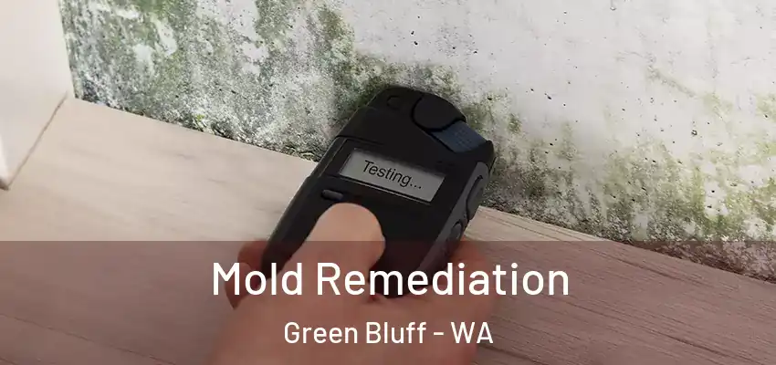 Mold Remediation Green Bluff - WA