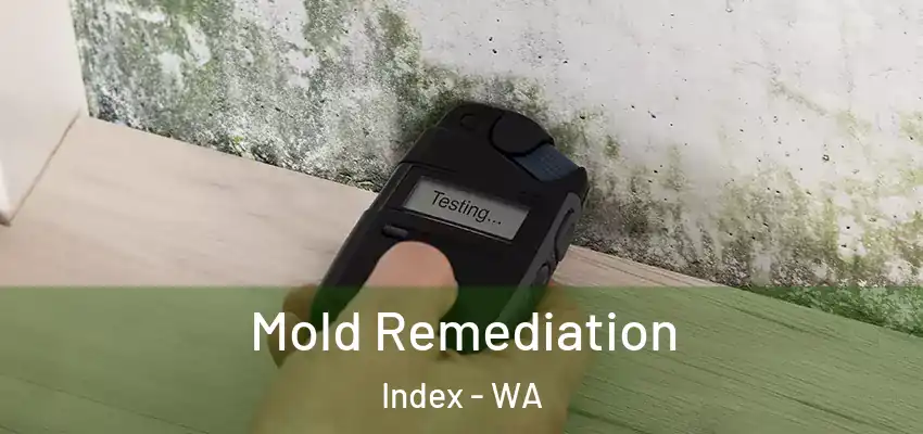  Mold Remediation Index - WA