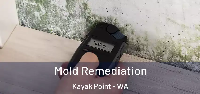  Mold Remediation Kayak Point - WA