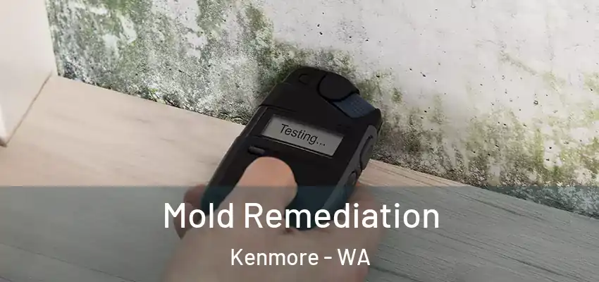  Mold Remediation Kenmore - WA