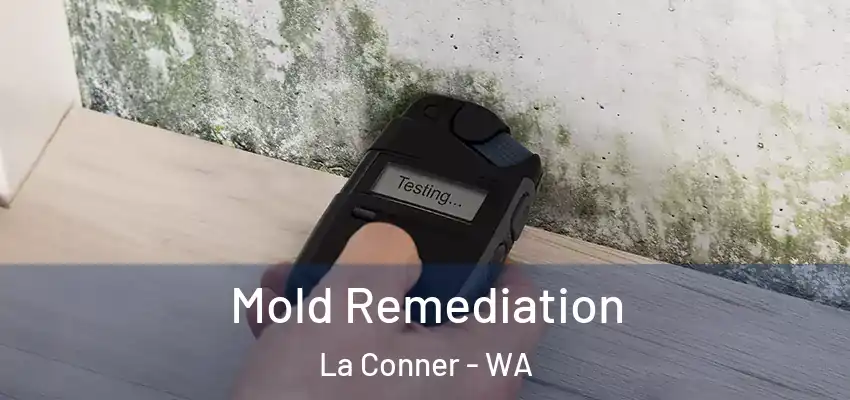  Mold Remediation La Conner - WA