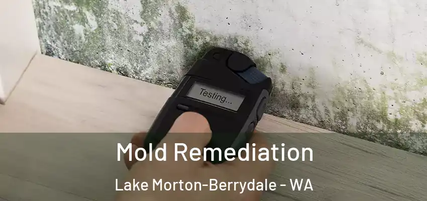  Mold Remediation Lake Morton-Berrydale - WA