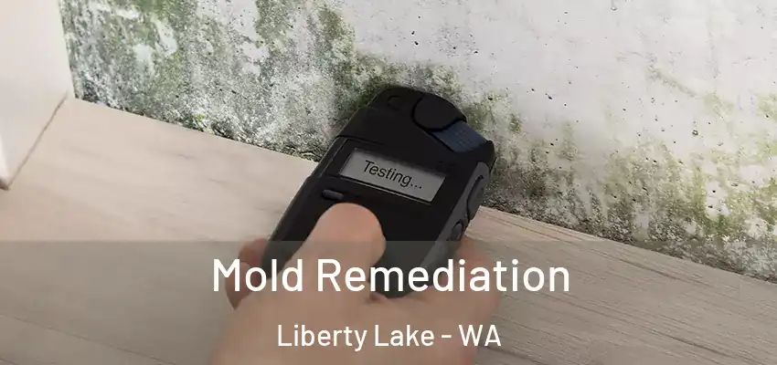  Mold Remediation Liberty Lake - WA