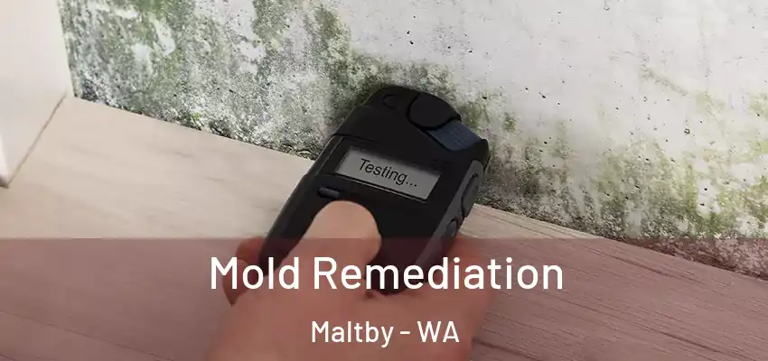  Mold Remediation Maltby - WA