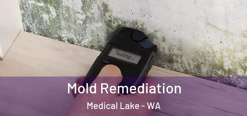  Mold Remediation Medical Lake - WA
